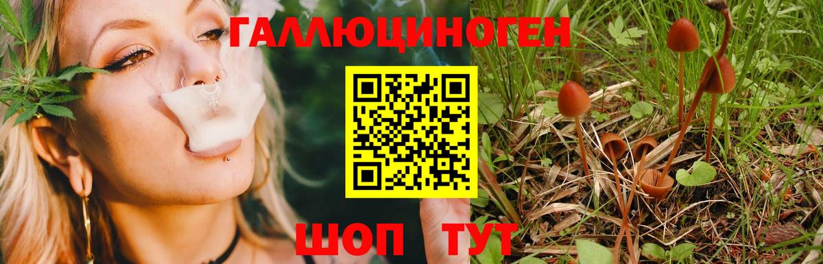 Псилоцибиновые грибы MAGIC MUSHROOMS  Вход с VPN  Галлюциногенные грибы мицелий  Усолье-Сибирское 