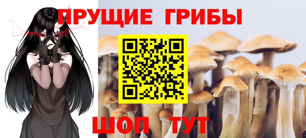 Галлюциногенные грибы Magic Shrooms Усолье-Сибирское